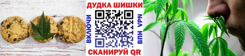 дарнет шоп  Новокубанск  Cannafood марихуана 