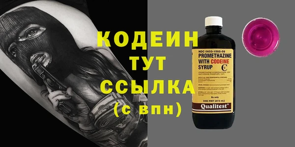 молекула духа Надым