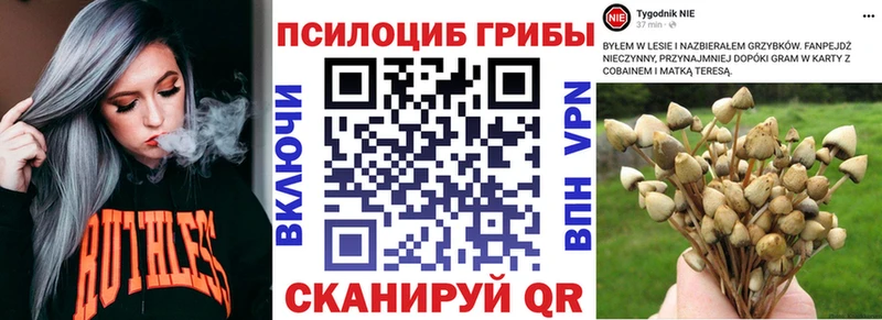 Псилоцибиновые грибы Magic Shrooms Новокубанск